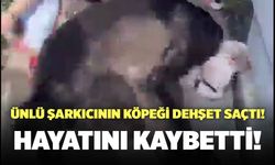 Banu Parlak’ın Köpeği Dehşet Saçtı!