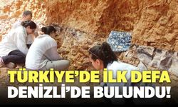 Denizli’de Bulunan Fosil, Anadoludaki Tek Örneği Oluşturuyor