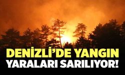 Denizli’de Orman Yangını Yaraları Sarılıyor!