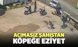 İzmir’de Savunmasız Köpeğe Çirkin Saldırı