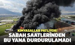 İzmir’de Saatlerdir Süren Yangın İçin 16 İtfaiye Görevde!