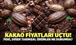 Kakao Fiyatları Uçtu! Peki, Diğer Tarımsal Ürünler Ne Durumda?