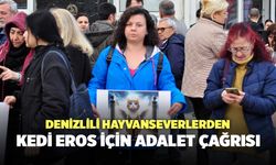Kedi Eros İçin Denizlili Hayvanseverlerden Adalet Çağrısı