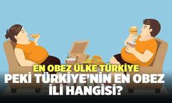 En Obez Ülke Türkiye, Peki Türkiye’nin En Obez İli Hangisi?