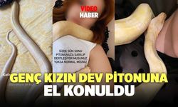 Genç Kızın Dev Pitonuna El Konuldu