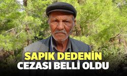 Sapık Dedenin Cezası Belli Oldu