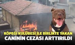 Köpeği Kulübesi İle Birlikte Yakan Caninin Cezası Arttırıldı
