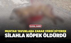 Muhtar Tavuklara Zarar Verdi Diyerek Silahla Köpek Öldürdü