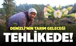 Denizli’nin Tarım Geleceği Tehlikede!