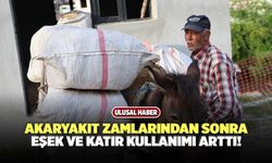 Akaryakıt Zamlarından Sonra Eşek ve Katır Kullanımı Arttı!