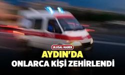 Aydın'da Onlarca Kişi Zehirlendi