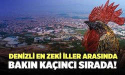 Denizli En Zeki İller Arasında Bakın Kaçıncı Sırada!