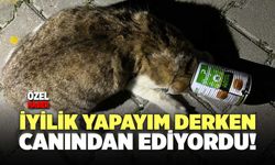 İyilik Yapayım Derken Canından Ediyordu!