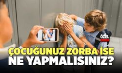 Çocuğunuz Zorba İse Ne Yapmalısınız?