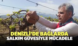 Denizli’de Bağlarda Salkım Güvesiyle Mücadele