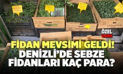 Fidan Mevsimi Geldi! Denizli’de Sebze Fidanları Kaç Para?