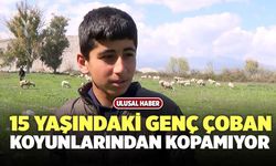 15 Yaşındaki Genç Çoban Koyunlarından Kopamıyor