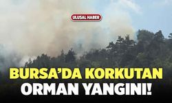 Bursa’da Korkutan Orman Yangını!