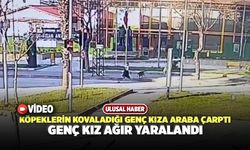 Köpeklerin Kovaladığı Genç Kıza Araba Çarptı, Genç Kız Ağır Yaralandı