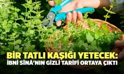 Bir tatlı kaşığı yetecek: İbni Sînâ'nın gizli tarifi ortaya çıktı