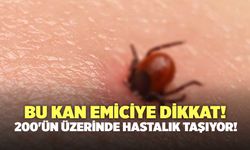 Bu Kan Emiciye Dikkat! 200'ün Üzerinde Hastalık Taşıyor!