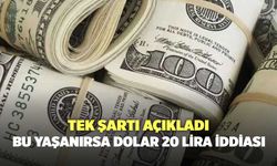 Tek şartı açıkladı: Bu yaşanırsa dolar 20 lira iddiası