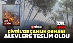 Çivril'de Çamlık Ormanı Alevlere Teslim Oldu