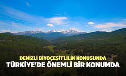 Denizli Biyoçeşitlilik Konusunda Türkiye'de Önemli Bir Konumda