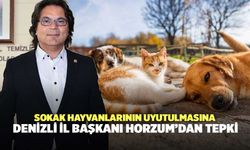 Sokak Hayvanlarının Uyutulmasına Denizli İl Başkanı Horzum’dan Tepki