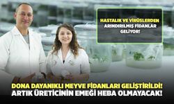 Dona Dayanıklı Meyve Fidanları Geliştirildi! Artık Üreticinin Emeği Heba Olmayacak!