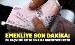 Emekliye son dakika: Bu başvuru ile 30 bin lira ödeme verilecek