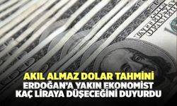 Akıl almaz dolar tahmini: Erdoğan'a yakın ekonomist kaç liraya düşeceğini duyurdu