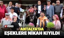 Antalya’da Eşeklere Nikah Kıyıldı