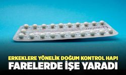 Erkeklere Yönelik Doğum Kontrol Hapı Farelerde İşe Yaradı