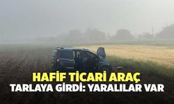 Hafif Ticari Araç Tarlaya Girdi: Yaralılar Var