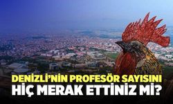 Denizli’ni Profesör Sayısını Hiç Merak Ettiniz Mi?