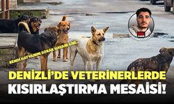 Denizli’de Veterinerlerde Kısırlaştırma Mesaisi! Kendi Hayvanını Sokak Hayvanı Gibi Getiriyor…