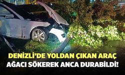 Denizli’de Yoldan Çıkan Araç, Ağacı Sökerek Anca Durabildi!