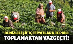 Denizlili Çiftçi Fiyatlara Tepkili! Toplamaktan Vazgeçti!