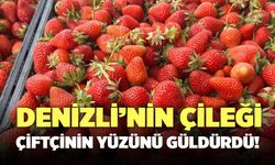 Denizli’nin Çileği Çiftçinin Yüzünü Güldürdü!