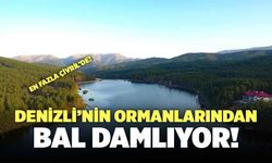 Denizli’nin Ormanlarından Bal Damlıyor!