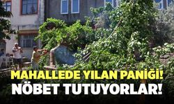 Mahallede Yılan Paniği! Nöbet Tutuyorlar!