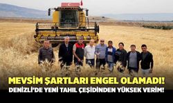 Mevsim Şartları Engel Olamadı! Denizli’de Yeni Tahıl Çeşidinden Yüksek Verim Geldi!