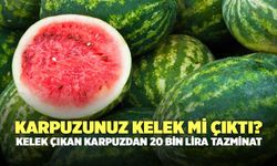 Karpuzunuz Kelek Mi Çıktı? Kelek Çıkan Karpuzdan 20 Bin Lira Tazminat