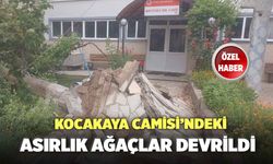 Kocakaya Camisi’ndeki Asırlık Ağaçlar Devrildi