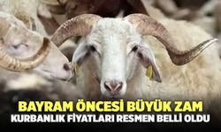 Bayram öncesi büyük zam: Kurbanlık fiyatları resmen belli oldu