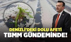 Denizli’deki Dolu Afeti Meclis Gündeminde!