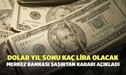 Dolar yıl sonu kaç lira olacak: Merkez Bankası şaşırtan kararı açıkladı