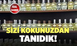 Sizi Kokunuzdan Tanıdık!