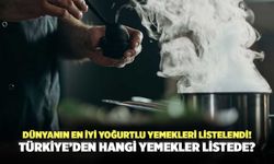 Dünyanın En İyi Yoğurtlu Yemekleri Listelendi! Türkiye’den Hangi Yemekler Listede?